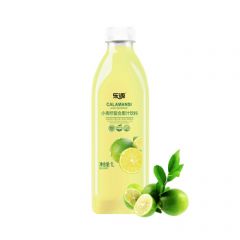 乐源 小青柠汁柠檬味果汁饮料 1000ml 大瓶装